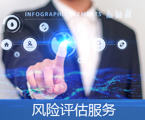 风险评估服务
