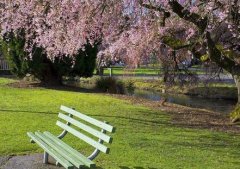 公共场所无线网络安全解决方案