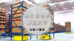 达芬奇家居高智能自动化仓储无线网络--云烁服务